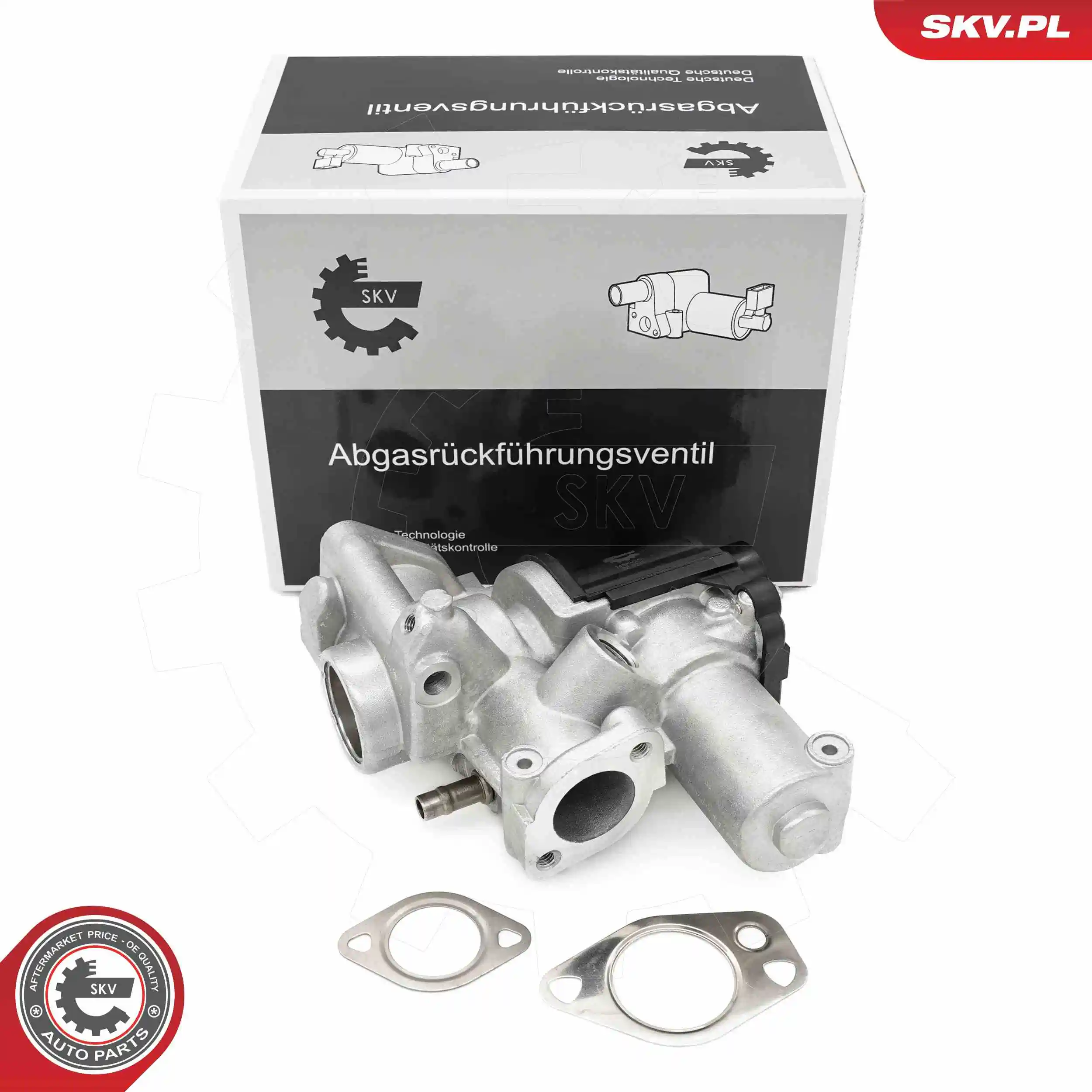 EGR Valve